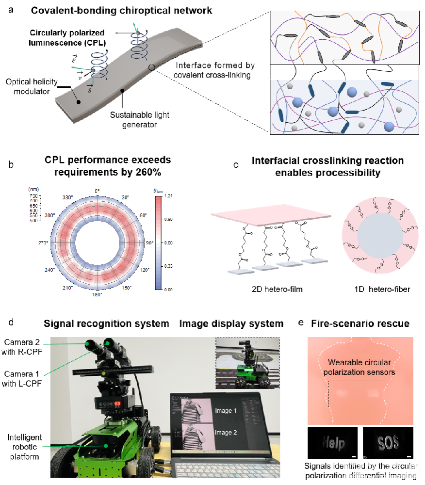 中国科大创制可穿戴圆偏振光学传感器件