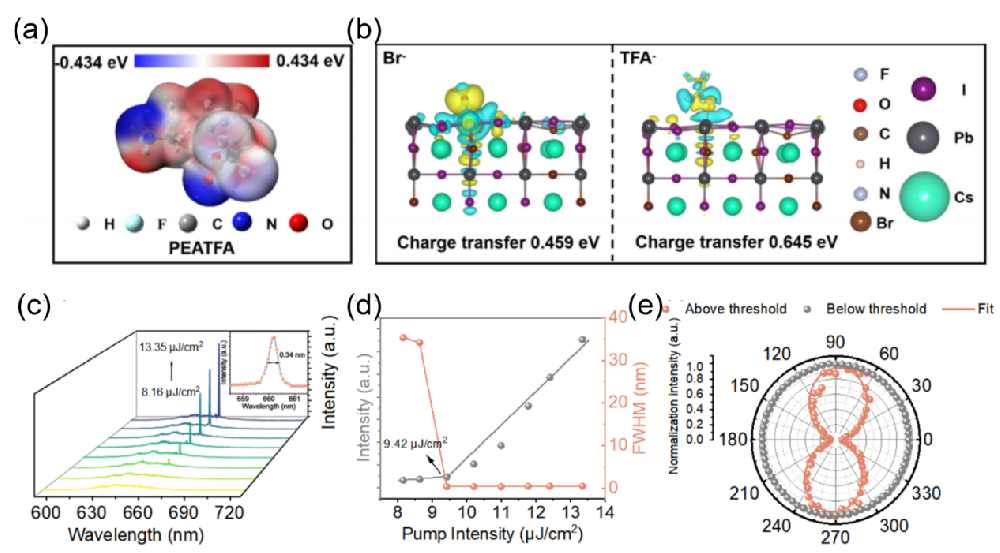 W020261023570125190765_ORIGIN.png